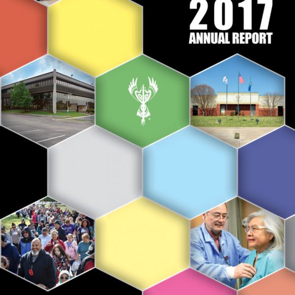 Annual-Report-2017_cover-717x1024
